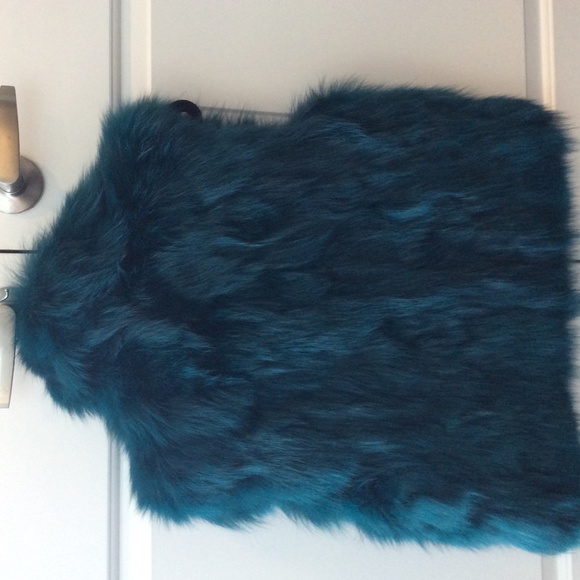 fox vest - Picture 2 of 5